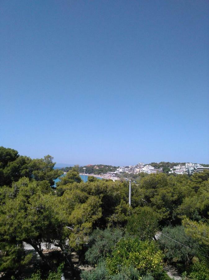 Comfortable garden Apt near Vouliagmeni beach Atena Exterior foto
