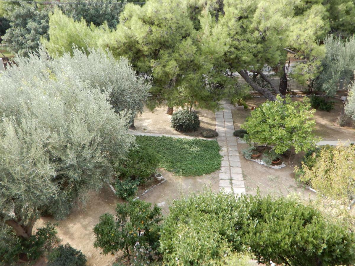 Comfortable garden Apt near Vouliagmeni beach Atena Exterior foto